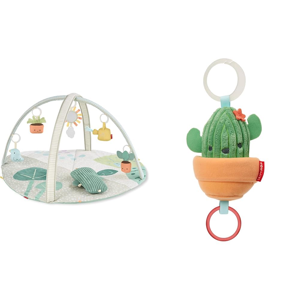 Amazon.com : Skip Hop Baby Play Gym Garden Oasis Green Multi and